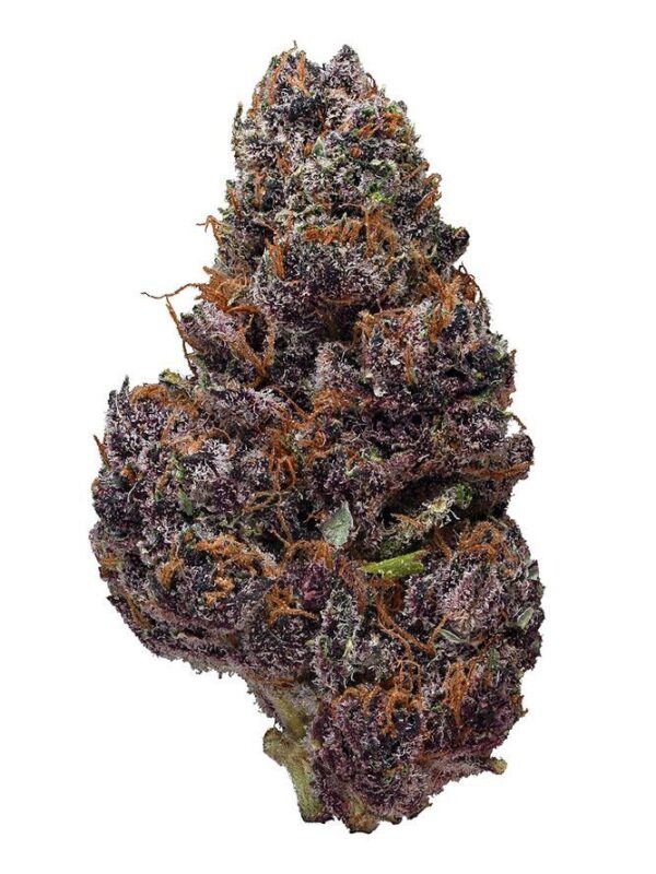 Black Cherry Garlic - Image 5